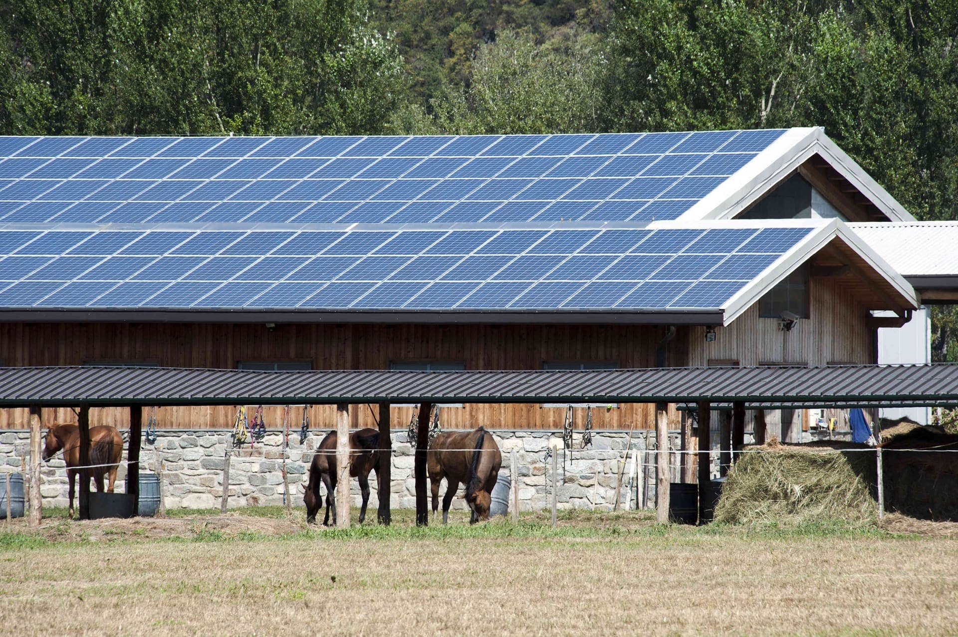 Solar panels covering the roof of a horse barn, the kind of outbuilding common on Littlerock's larger lots